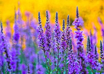 从游戏到赛事，《PUBG》如何在中国市场引领潮流